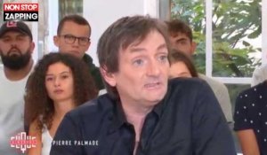 Pierre Palmade est "triste" d'être homosexuel, l'étonnante déclaration (vidéo)