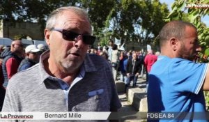 Trois cents agriculteurs provençaux manifestent à Avignon