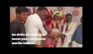 Ces jeunes mariés indiens ont reçu un drôle de cadeau de mariage