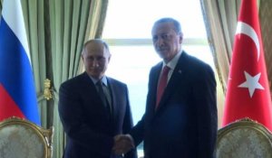 Sommet sur la Syrie: Erdogan reçoit Poutine