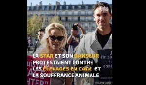 Pamela Anderson et Maxime Dereymez dans une cage... pour la bonne cause
