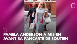 PHOTOS. Surprenant ! Pamela Anderson dans une cage pour défendre la cause animale