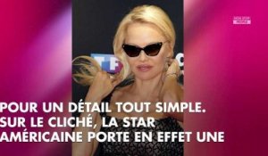 Pamela Anderson dans DALS 9 : Pourquoi sa photo officielle a crée la polémique