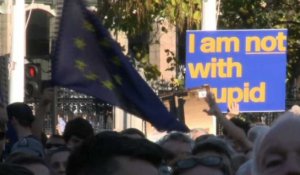 Manifestation à Londres pour un nouveau référendum sur le Brexit