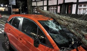 Tempête Isha : fortes perturbations en Irlande et au Royaume-Uni