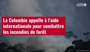 VIDÉO. La Colombie appelle à l'aide internationale pour combattre les incendies de forêt