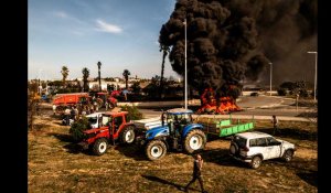 Mobilisation des agriculteurs à Perpignan