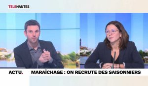 Maraîchage : on recrute des saisonniers