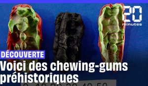 Suède : Les secrets de chewing-gums préhistoriques révélés