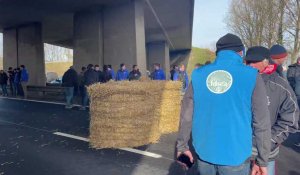 Bergues : les agriculteurs déchargent des ballots de paille pour bloquer l’A25