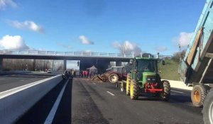 Mobilisation des agriculteurs sur l'A61 à hauteur de Villefranche de Lauragais