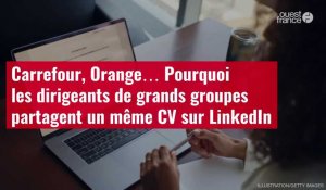 VIDÉO. Carrefour, Orange… Pourquoi les dirigeants de grands groupes partagent un même CV sur LinkedIn