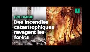 La Colombie plongée dans une lutte acharnée contre les feux de forêt