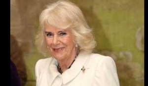 Charles III atteint d’un cancer : la reine Camilla donne des nouvelles rassurantes