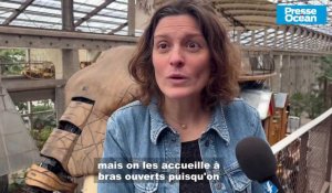 VIDEO. Comment le site des Machines de l'ïle à Nantes va s'adapter à la fermeture du pont 