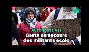 "C'est de la pure folie" : Les images du rassemblement anti-A69 avec Greta Thunberg