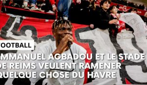 Le Havre - Stade de Reims : l’avant-match avec Emmanuel Agbadou