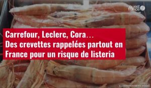 VIDÉO. Carrefour, Leclerc, Cora… Des crevettes rappelées partout en France pour un risque de listeri