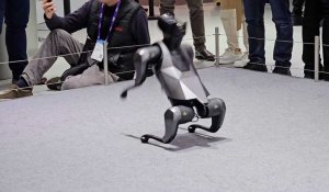 Xiaomi fait évoluer son chien robot au salon de Barcelone