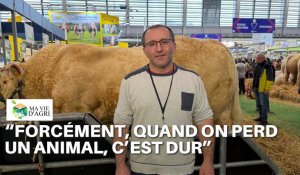 Ma vie d'agri : Michael Marlette, éleveur de vaches dans la Marne
