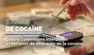 Quatre "mules" interpellées à l'aéroport de Nice avec 3 kilo de cocaïne