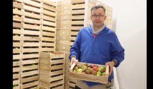 VIDÉO. Cet entrepreneur fait des paniers avec les fruits et légumes refusés par les distributeurs