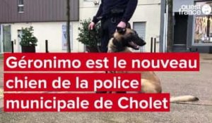 VIDÉO. Géronimo est le nouveau chien de la police municipale de Cholet