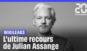 Wikileaks : Julian Assange tente un ultime recours