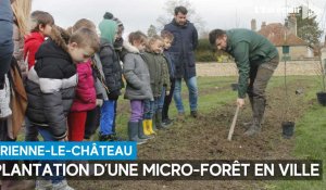 Une micro-forêt plantée pour que la ville de Brienne-le-Château soit plus verte