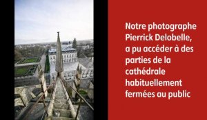 Patrimoine - Redécouvrez l'emblématique cathédrale de Bourges avec le hors-série du Berry républicain