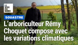 A Souastre, l'arboriculteur Rémy Choquet face aux variations climatiques