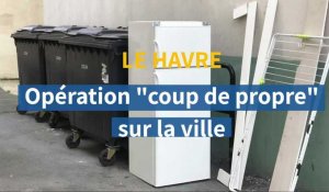 Le Havre. Opération ville propre