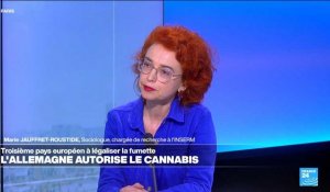 Marie Jauffret-Roustide : "Un des objectifs de la légalisation du cannabis est la sécurité publique"