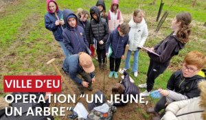 Opération "un jeune un arbre", chantier de plantation à la ville d'Eu