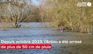 En Anjou, qui sont les gagnants de cet hiver 2023-2024 hyper pluvieux ?