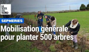 Mobilisation générale à Sepmeries pour planter 500 arbres 