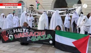 VIDÉO. À Châteaubriant, 160 personnes mobilisées pour dire « halte au massacre à Gaza »