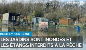 Les jardins sont inondés et les étangs interdits à la pêche à Romilly-sur-Seine