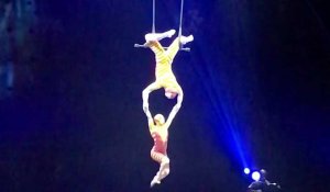 Le Cirque du Soleil pour six représentations de Ovo