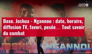 VIDÉO. Boxe. Joshua - Ngannou : date, horaire, diffusion TV, favori, pesée… Tout savoir du