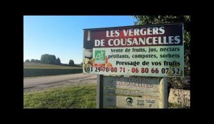 Les Vergers de Cousancelles : des fruits bio made in Meuse