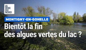 La fin des algues vertes au lac de Montigny-en-Gohelle ?