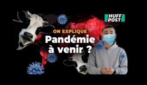 Le virus H5N1 va-t-il causer la prochaine pandémie ?