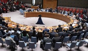Pas de reconnaissance de la Palestine à l'ONU après le veto de Washington