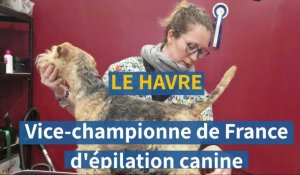 Le Havre. Une toiletteuse championne de France d'épilation canine