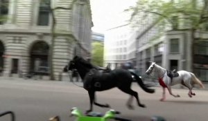 VIDÉO. Des chevaux en cavale sèment la pagaille en plein centre de Londres