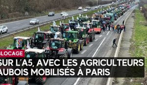 Sur l’A5, avec les agriculteurs aubois mobilisés à Paris