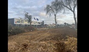 VIDÉO. Une centaine d'agriculteurs créent une prairie devant la sous-préfecture de l'Orne à Argentan