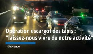Opération escargot des taxis à Marseille : "laissez-nous vivre de notre activité"