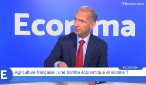 Nicolas Baverez : "Que la France soit dépendante d'un point de vue agricole, c'est une aberration !"